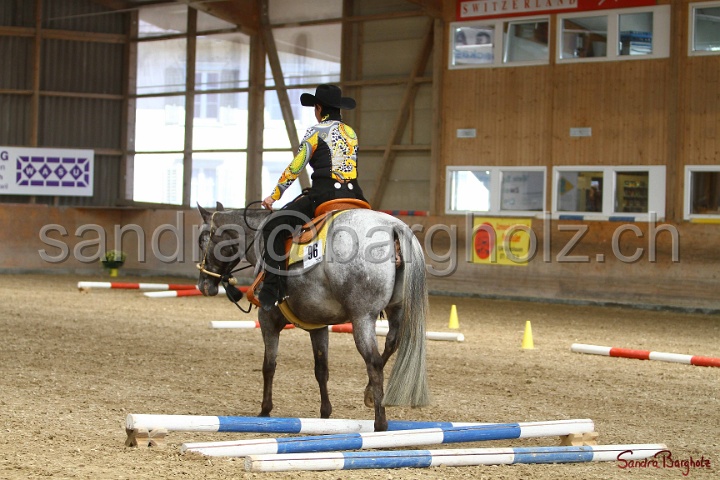 26-ApHC GT_218.jpg